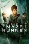 دانلود فیلم The Maze Runner 1 2014 دونده هزارتو 1