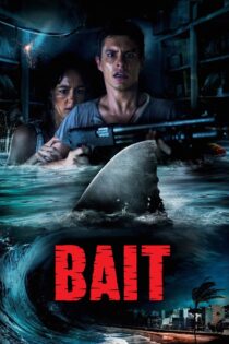 دانلود فیلم Bait 2012 فاجعه در فروشگاه